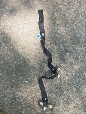 Black Webbing Strap with Clustered Silver Jingles